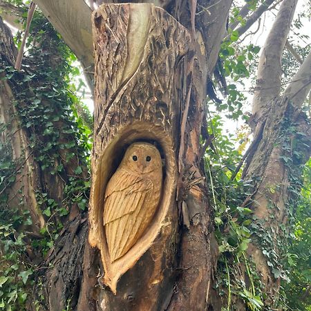Next Door At Broomfield House Midleton Bagian luar foto