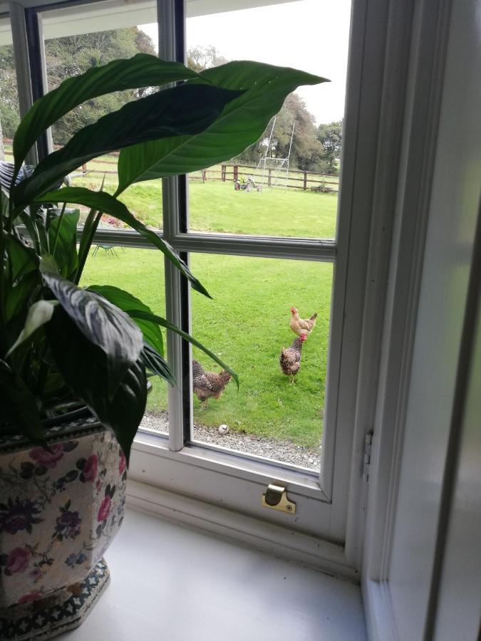 Next Door At Broomfield House Midleton Bagian luar foto