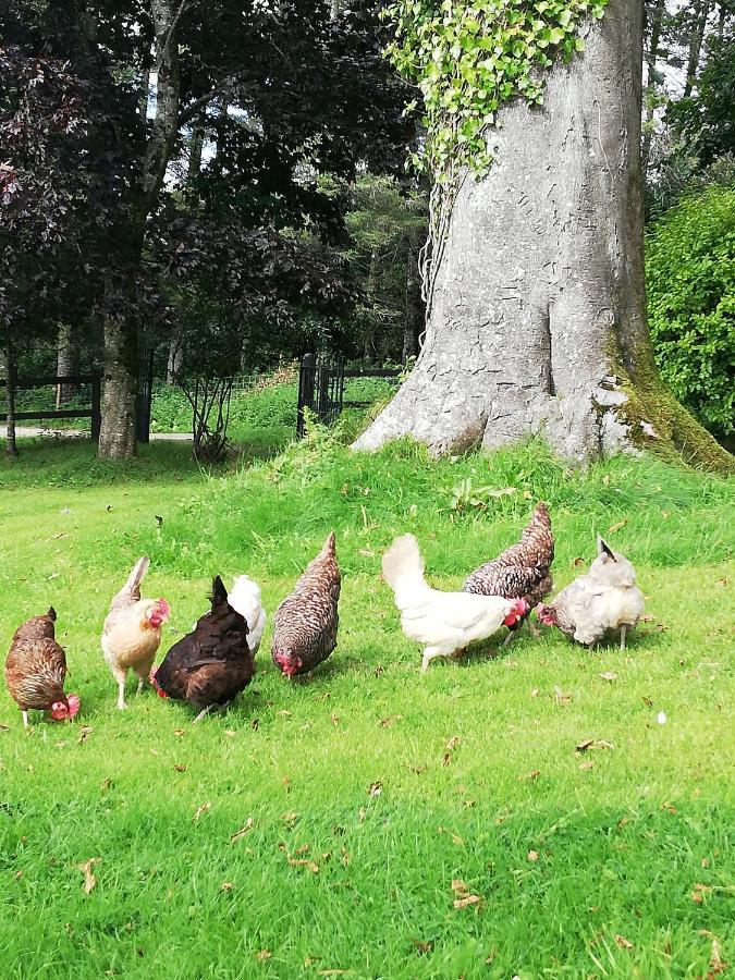Next Door At Broomfield House Midleton Bagian luar foto